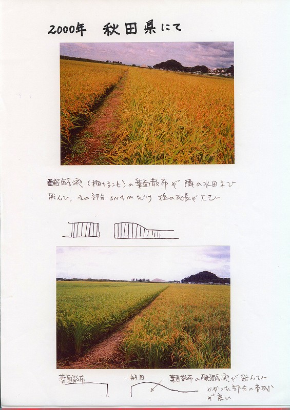 画像の説明
