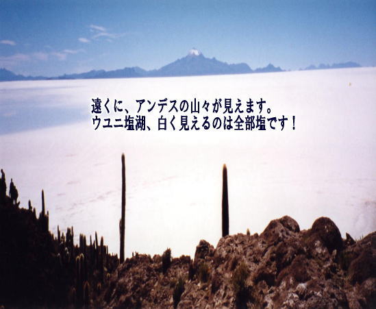 画像の説明