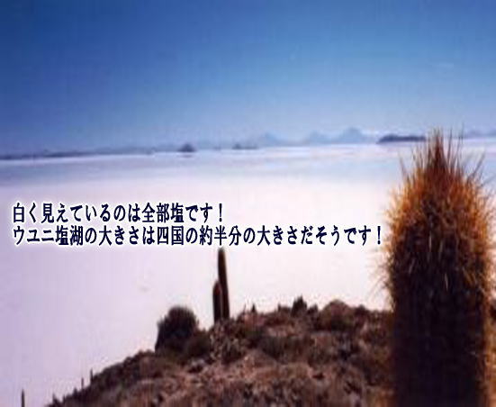 画像の説明