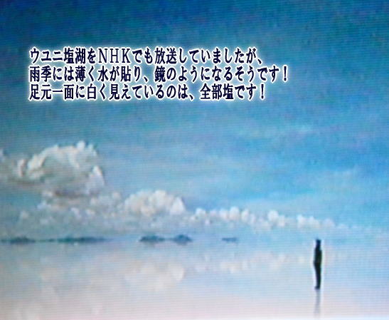 画像の説明